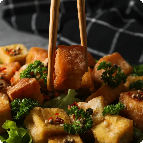 튀긴 두부  fried tofu